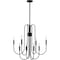 Quoizel Cabry Chandelier 8 Lights Mystic Black CBR5028K - alternate 6